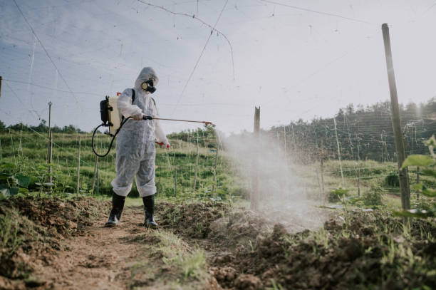 Best Best Pest Control Companies  in Little River Academy, TX