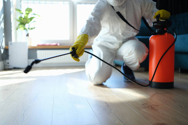 Pest Prevention Services in Little River Academy, TX