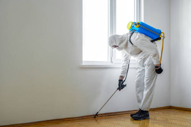 Best Pest Removal Services  in Little River Academy, TX