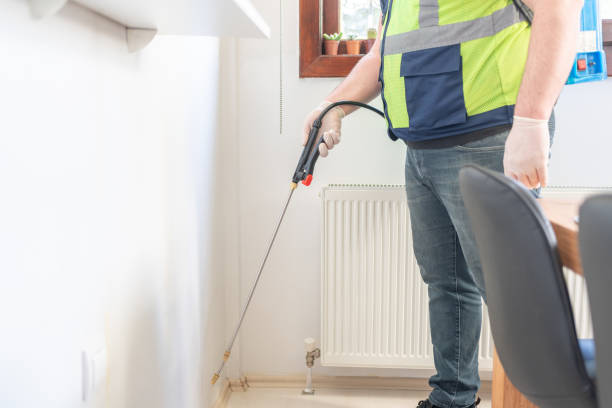 Best Affordable Pest Control Services  in Little River Academy, TX
