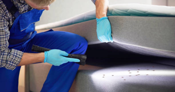 Professional Pest Control in Little River Academy, TX