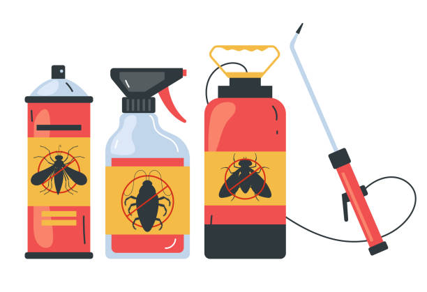 Insect Control in Little River Academy, TX